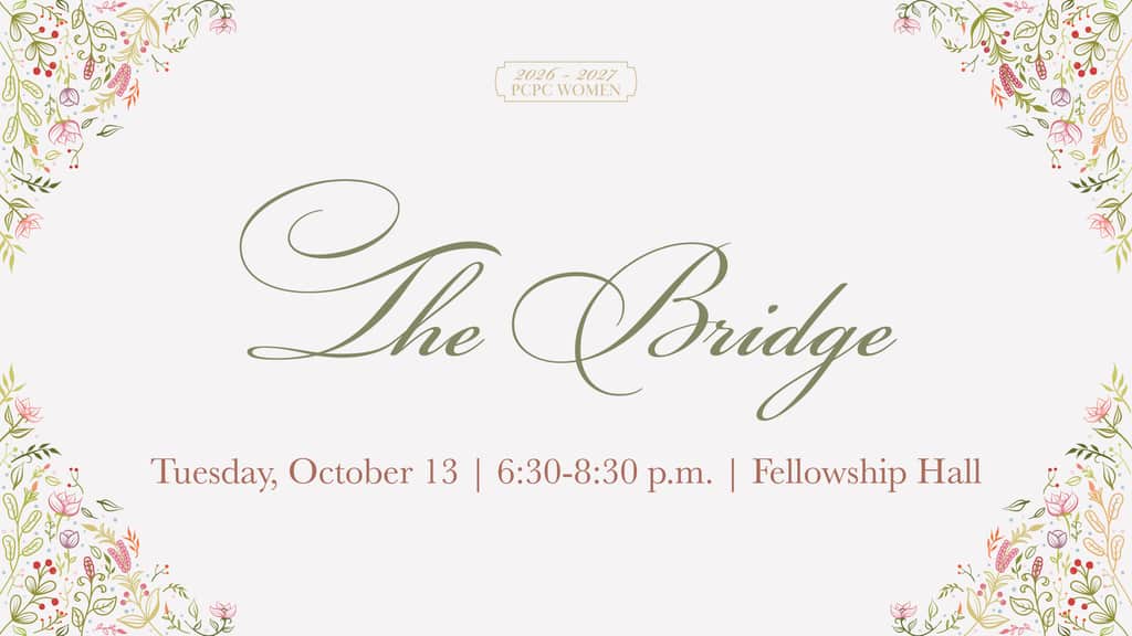 The Bridge: What's Her Story?