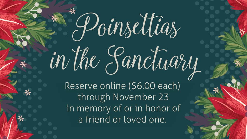 Poinsettia Reservation