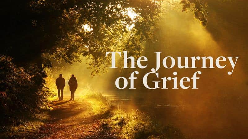 Grief Support Group - Thursday Mornings