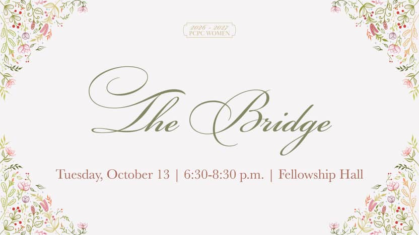 The Bridge: What's Her Story?